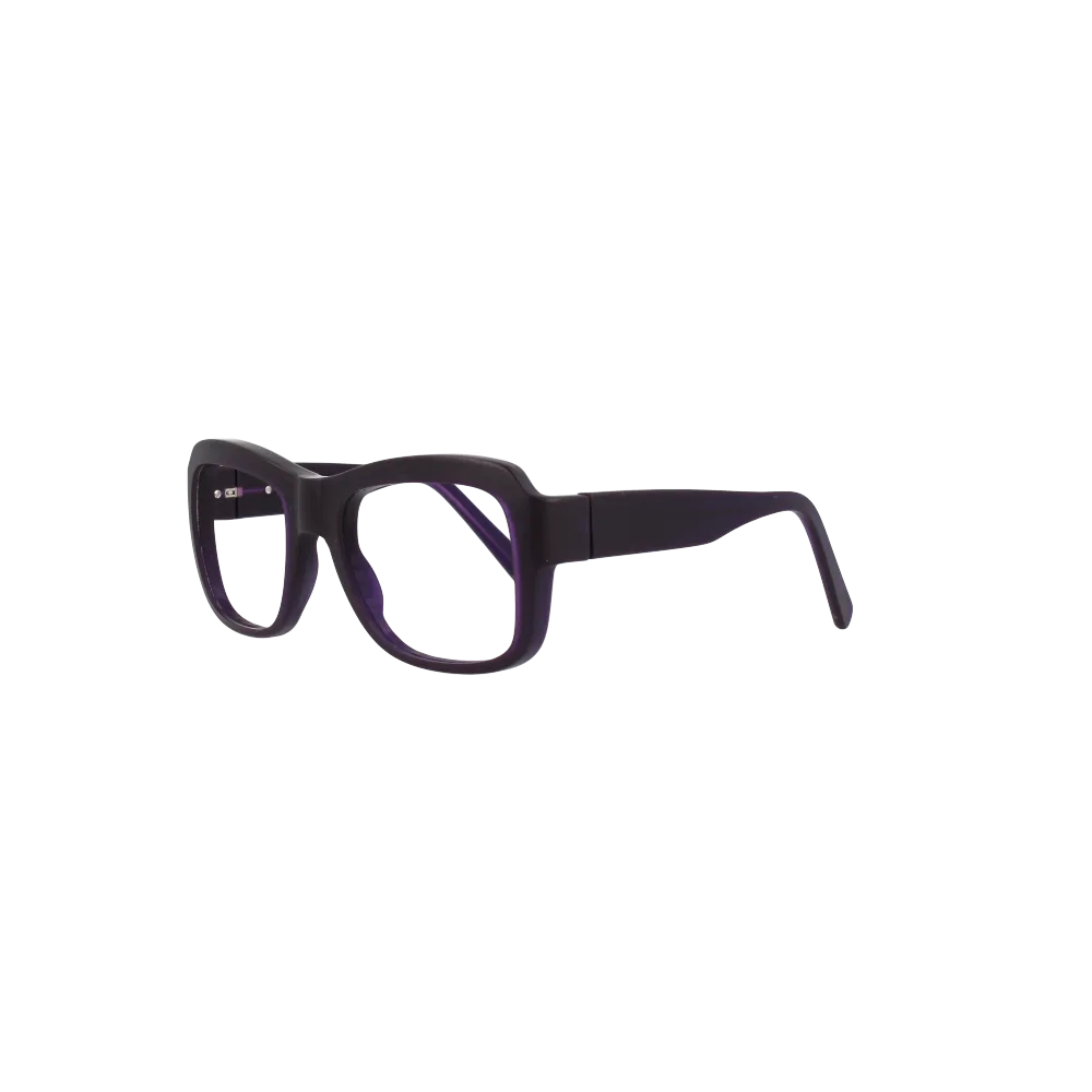 Brillenwerk Warther Horn Brille — Vorderansicht links