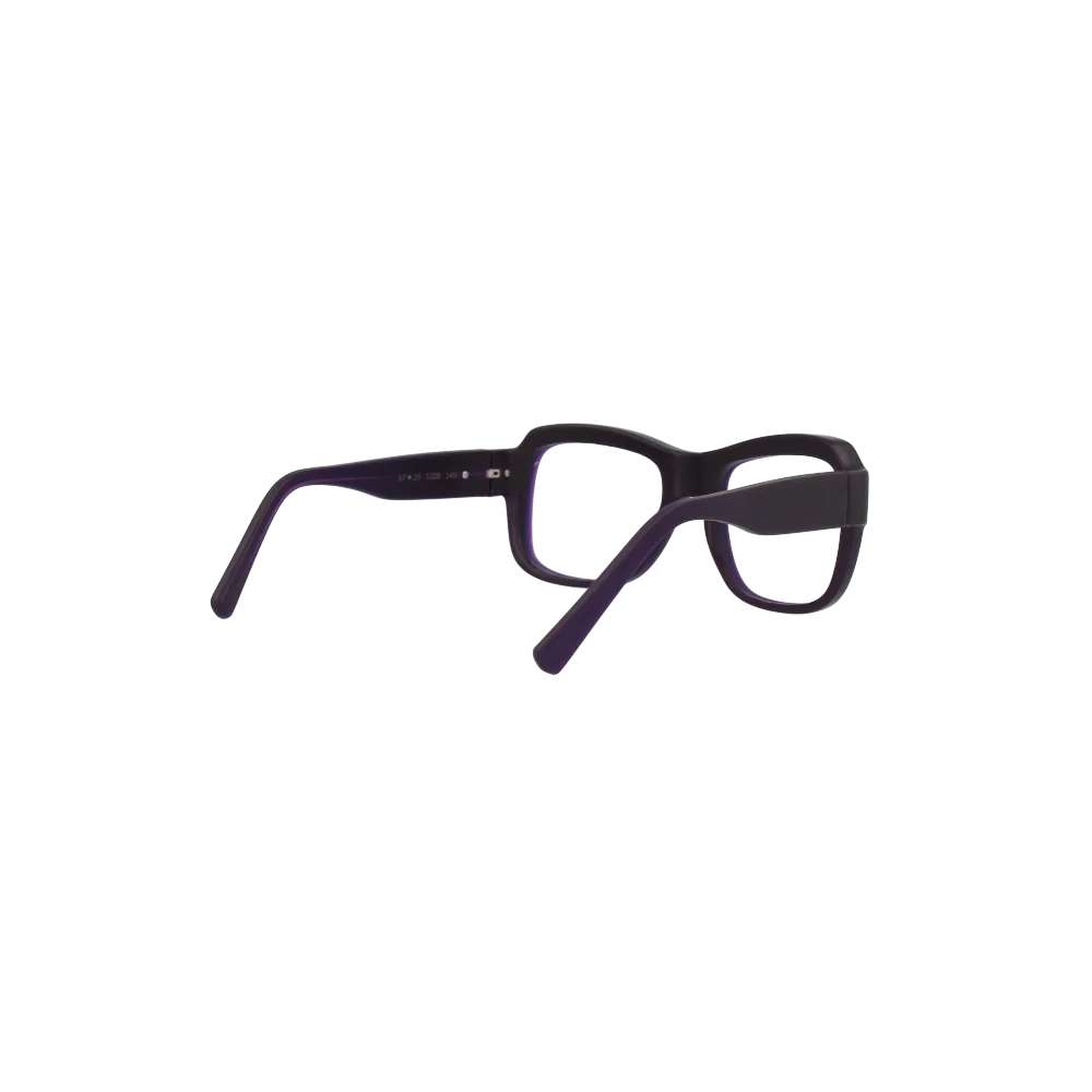 Brillenwerk Warther Horn Brille — hinten rechts
