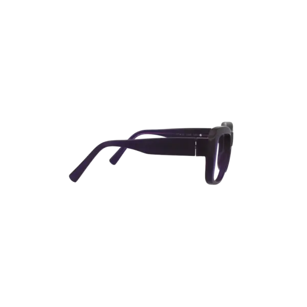 Brillenwerk Warther Horn Brille — Seitenansicht rechts