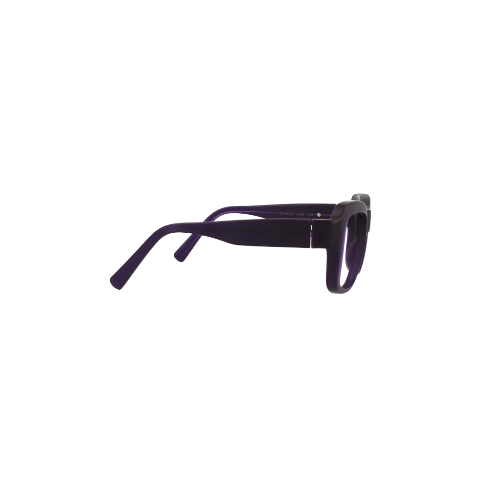 Brillenwerk Warther Horn Brille — Seitenansicht rechts