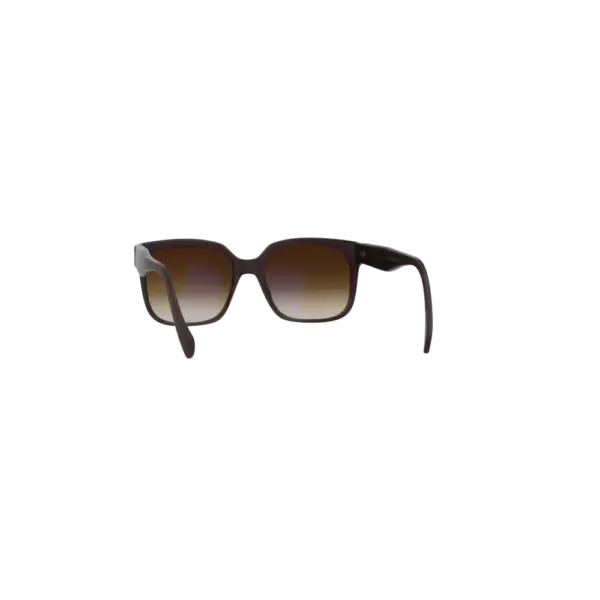 Brillenwerk Zamangspitze Brille — hinten links